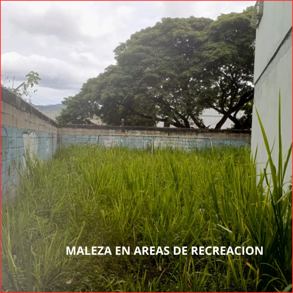 maleza